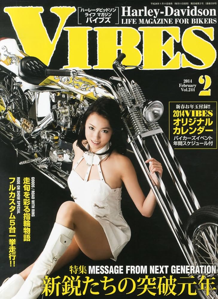 バイブス　VIBES 2014年 10月〜2015年12月までの 15冊 バイブス VIBES 2014年 10月〜2015年12月までの 15冊 雑誌
